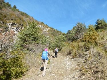 dans le vallon du Torrent de Rioupape