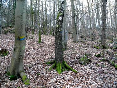 C&apos;est par où qu&apos;on passe 