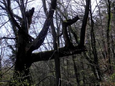 Géométrie dans l&apos;espace