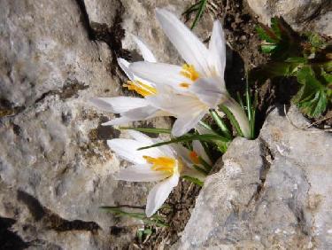 Dans les passages cables 