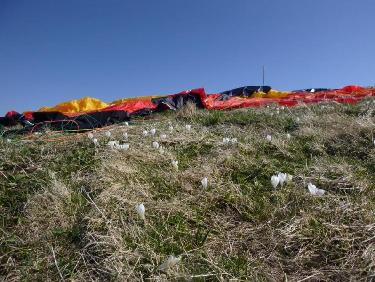Exercice périlleux : ne rien écraser 