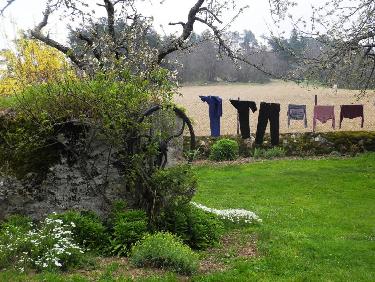 Enfin des signes de vie