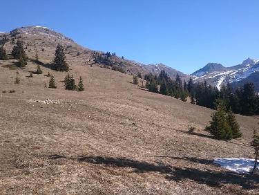 Mont de la Guerre en avril!!!