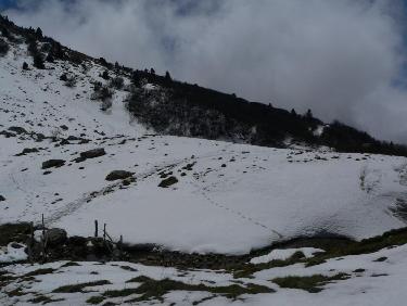Vers le col des Bannettes