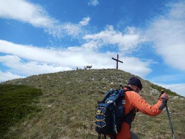 Montagne de Maraysse