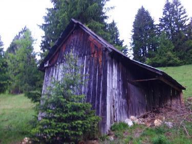 Ma cabane au fond des Bois