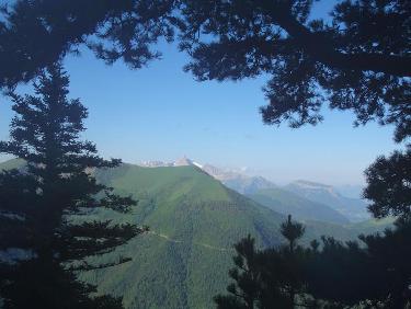 le Colombier encadré