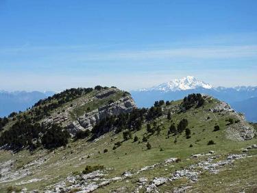 vue vers le Mont Blanc depuis le sommet