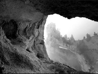 La Star de Chartreuse