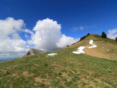 Le Mollard de la Chaleur