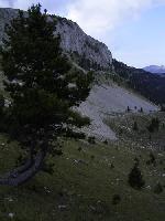 plateau sous la Tête Chevalière