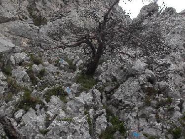 Il suffit de suivre les pointillés