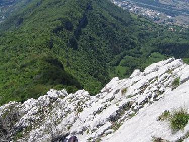 Dans la partie médiane