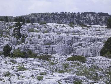 plateau karstique de Parmelan
