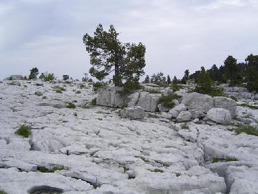 plateau de Parmelan