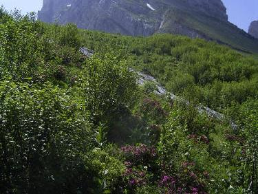 combes des Aravis