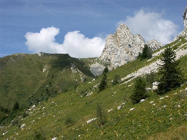 Combe de Pissevache