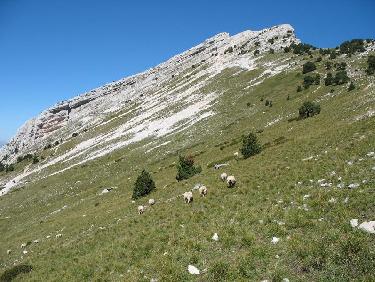 Chamechaude à 500 mètres du sommet