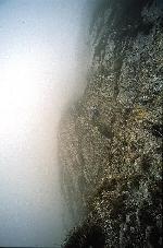 LE passage du Baconnet