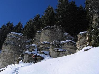 Le pas de l&apos;ours