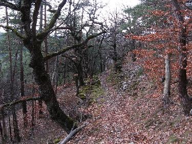 Sentier des Combeaux