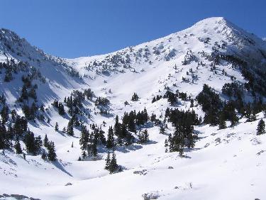 La tête des chaudières