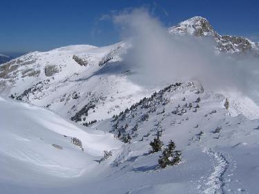 La grande Moucherolle