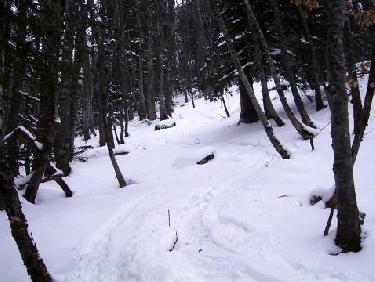 Ecoutoux versant nord