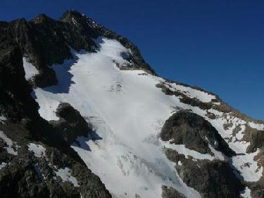 Muzelle 2, le retour