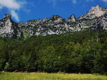 Falaises versant est.