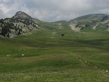 Plaine de la Queyrie