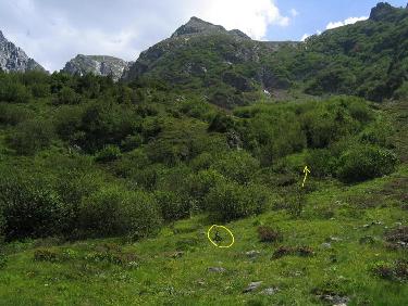 dans le haut du replat 1850m