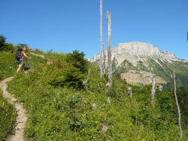 Entre Manival et Saint Eynard