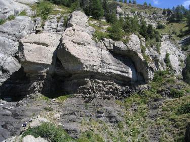 dans le haut de la combe des Roranches