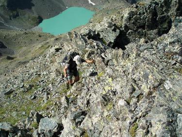 Sous la pointe des Excellences