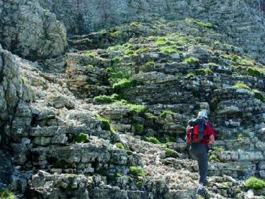 dans la face ouest de Vachères