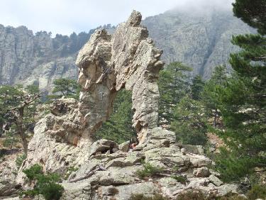L&apos;arche toujours