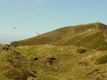 Les amis d&apos;Icare