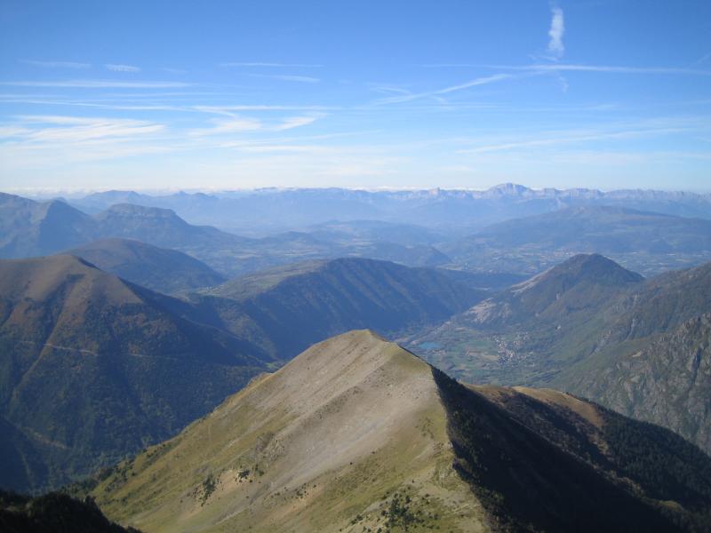 soaring au dessus du Vet