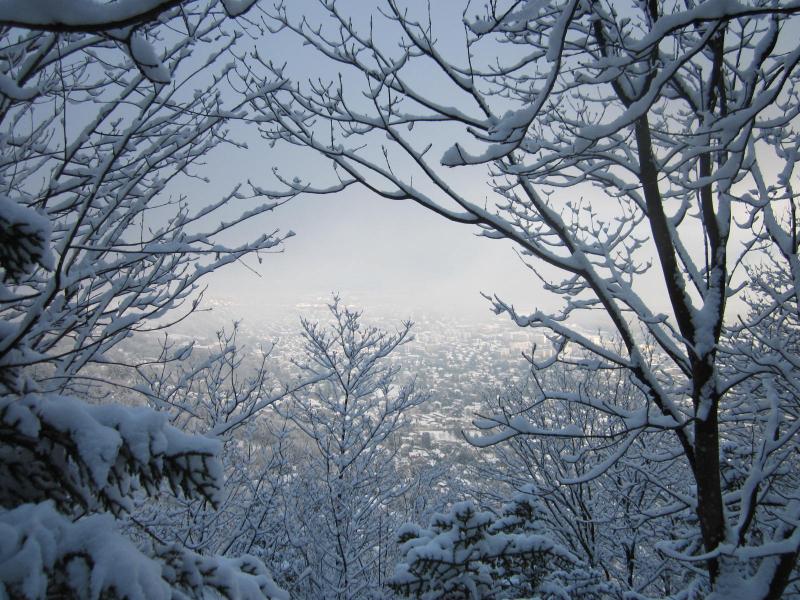 soleil sous le brouillard!