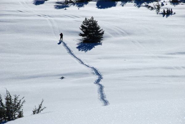 solitude