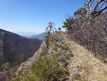 Sommet des Plauts, antÃ©cime Ã  1535m