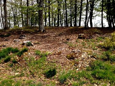 Sommet du CrÃªt Malherbe