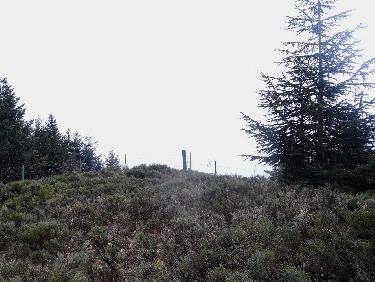 Sommet  du CrÃªt St-Georges