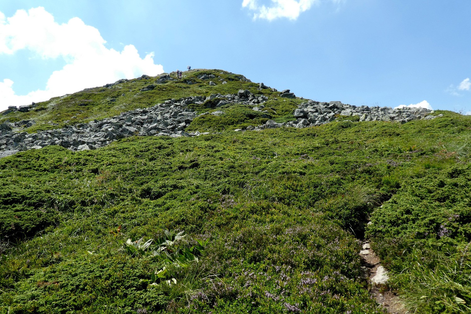 Sommet du Montfol en vue