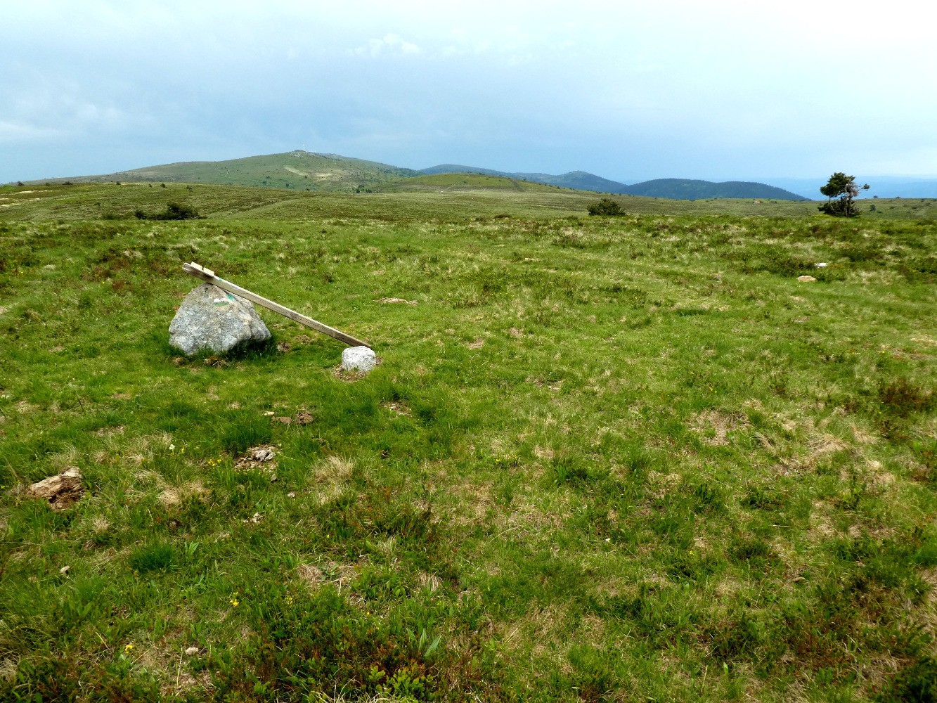 Au sommet du Puy Gros, avec au fond Pierre-sur-Haute, Monthiallier, ChouvÃ©