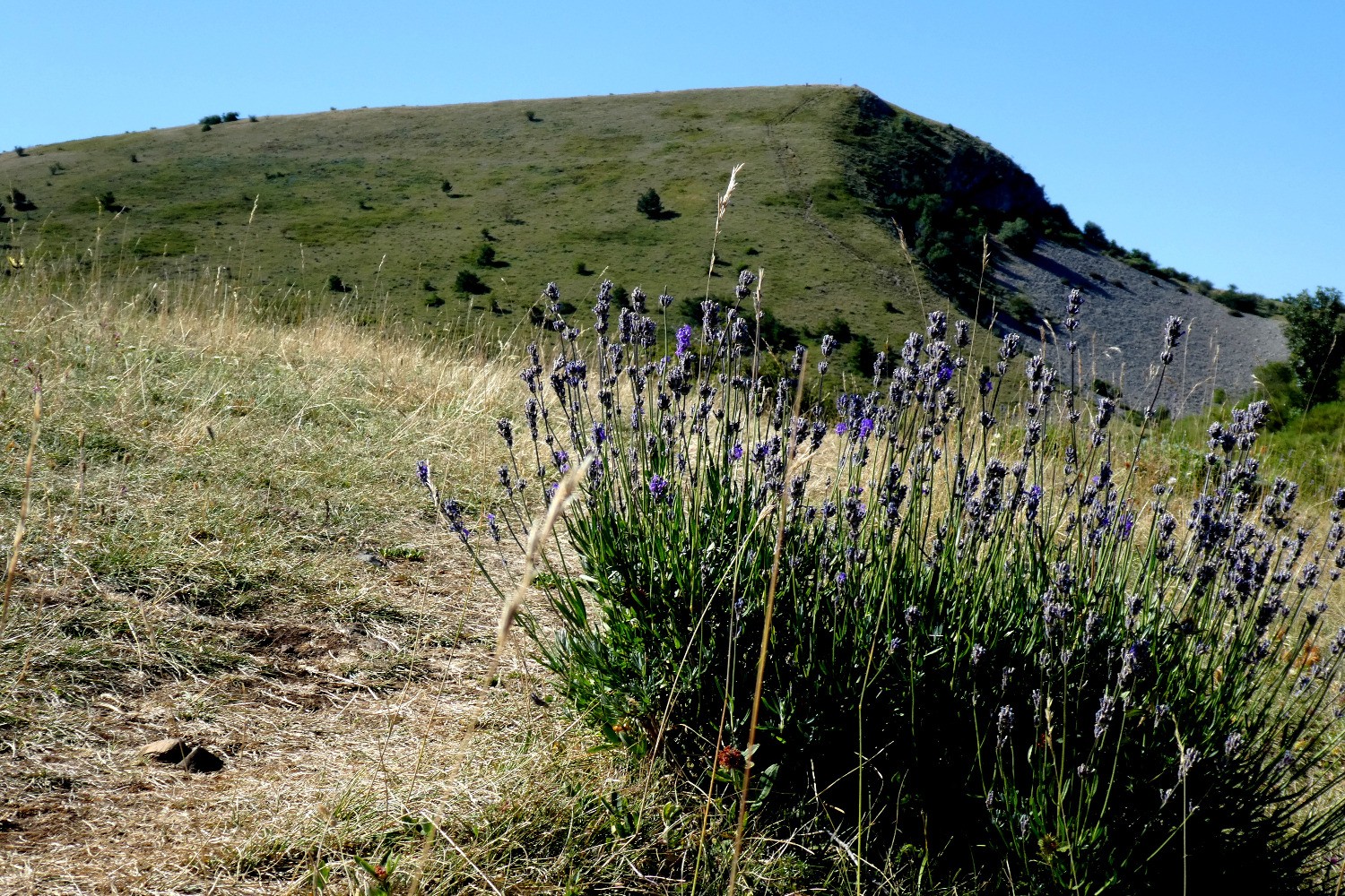Sommet Sud du Cousson