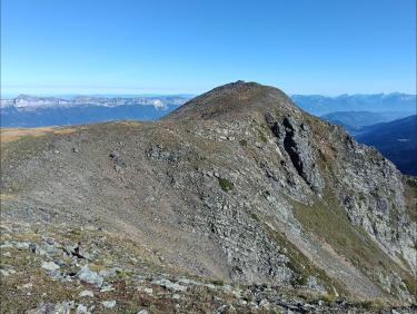 Sommet trifide arrondi 