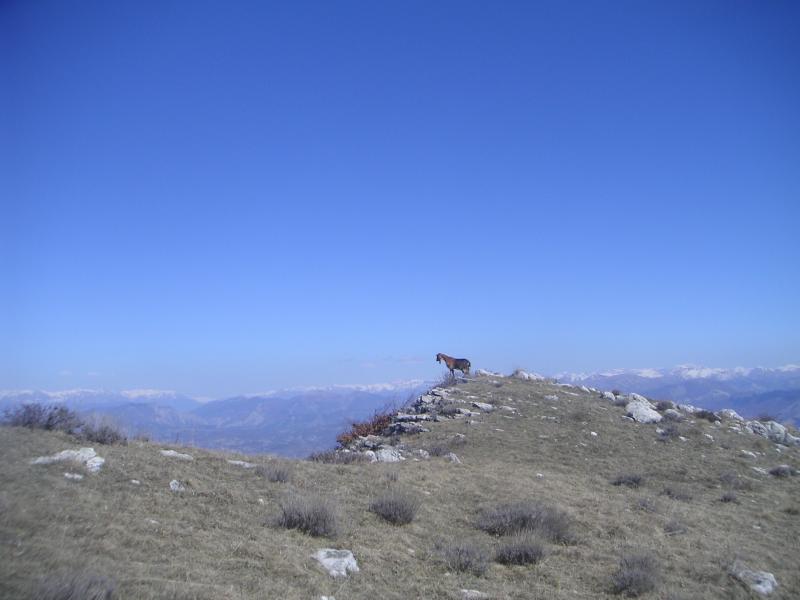 sommet de la Platte