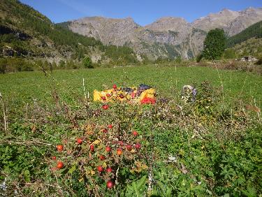 Atterrissage Ã  proximitÃ© des aubÃ©pines